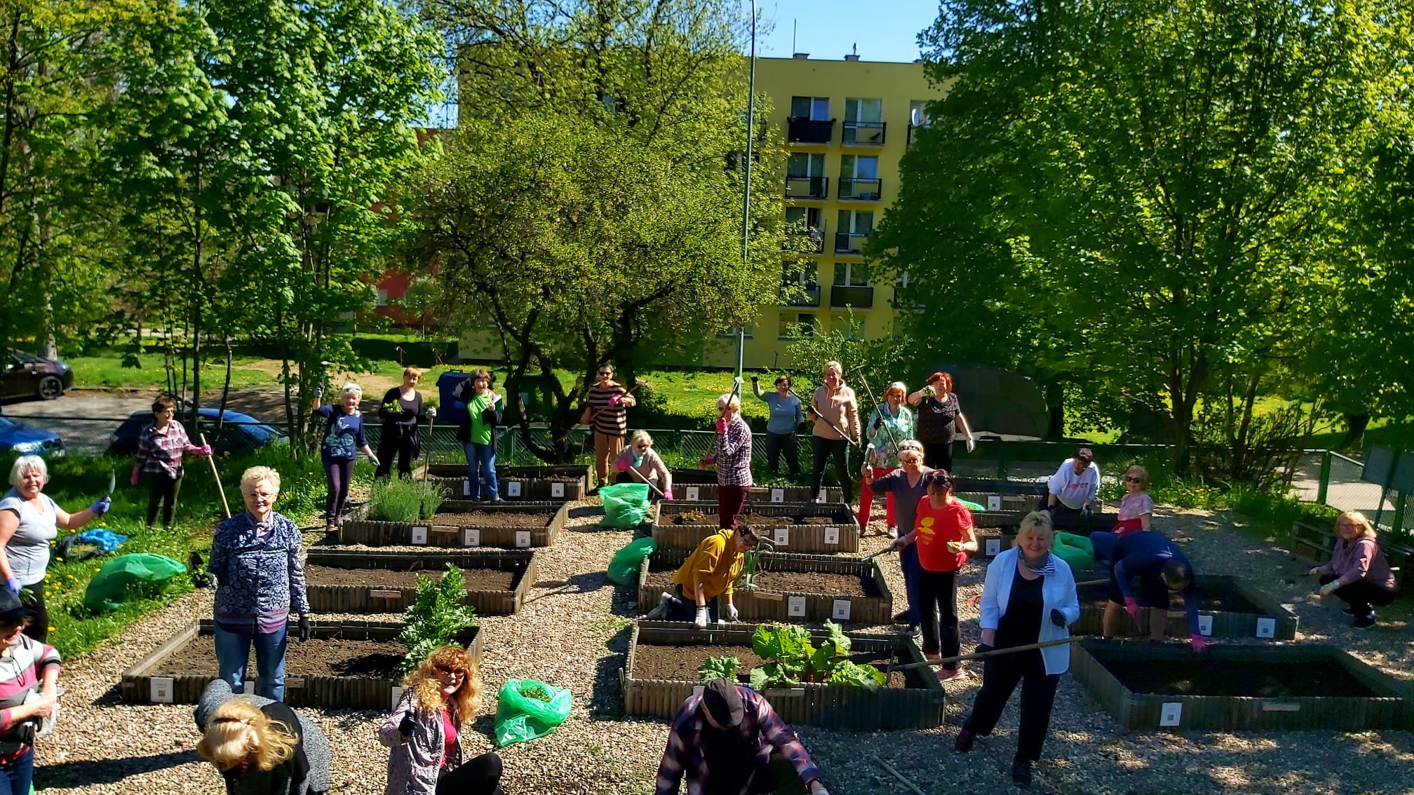 wolontariat w ogrodzie4