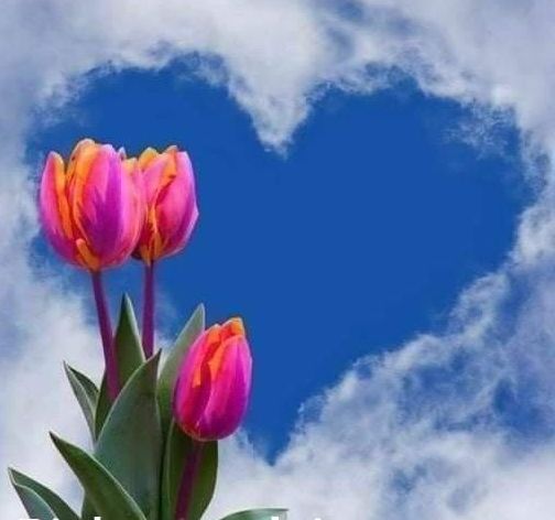 Serce w&nbsp;chmurach